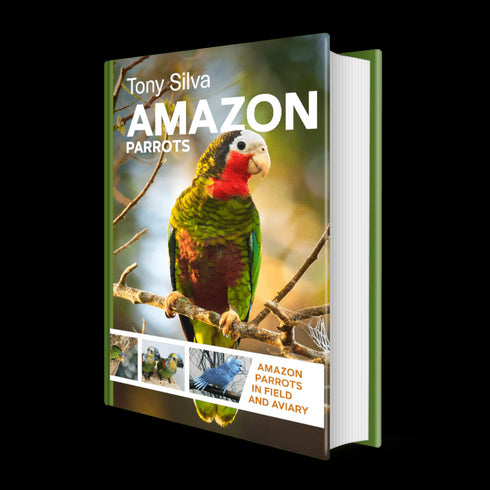 Amazon Parrots - Silva,T. 2022